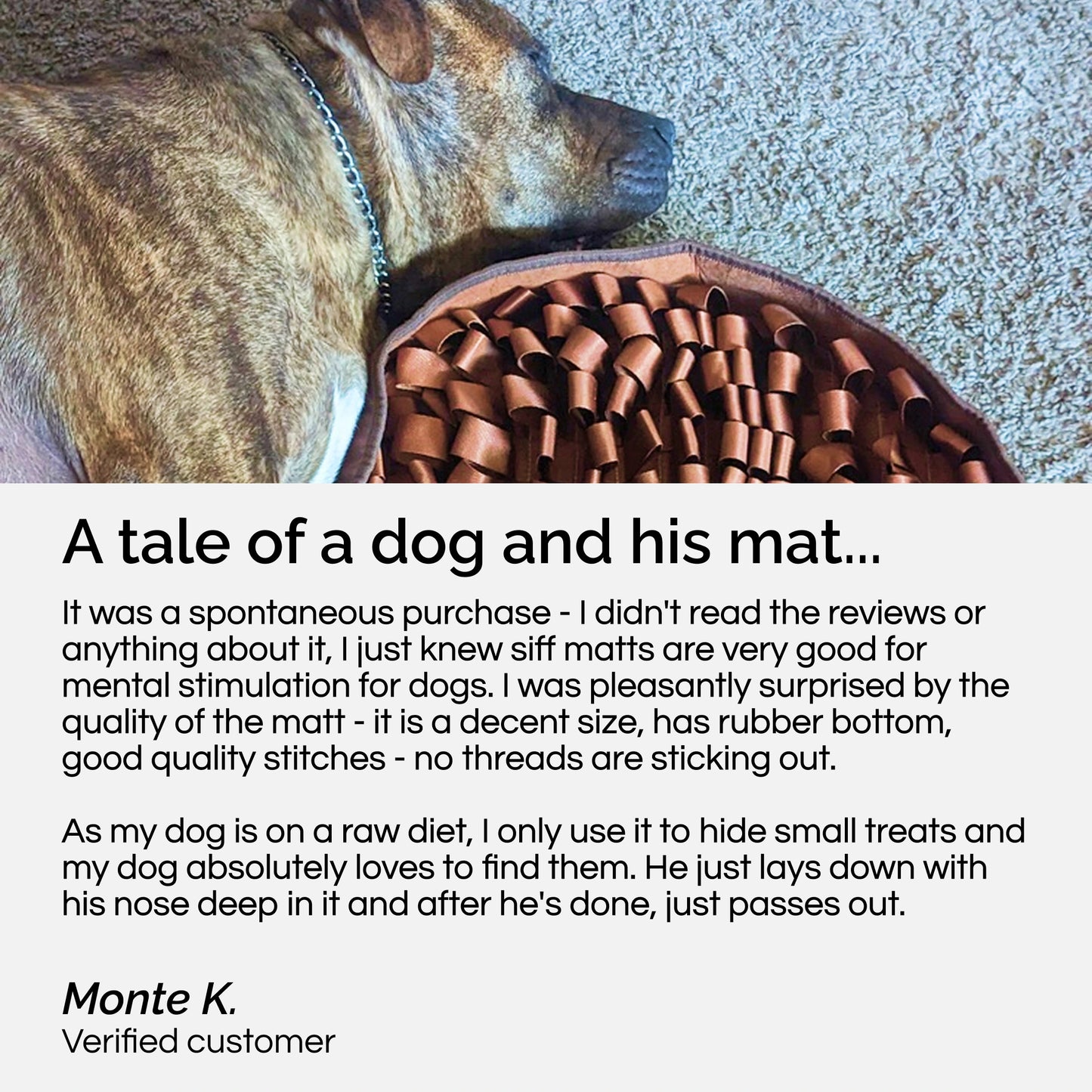 Stimulating Feeder Mat
