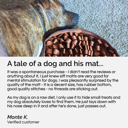 Stimulating Feeder Mat