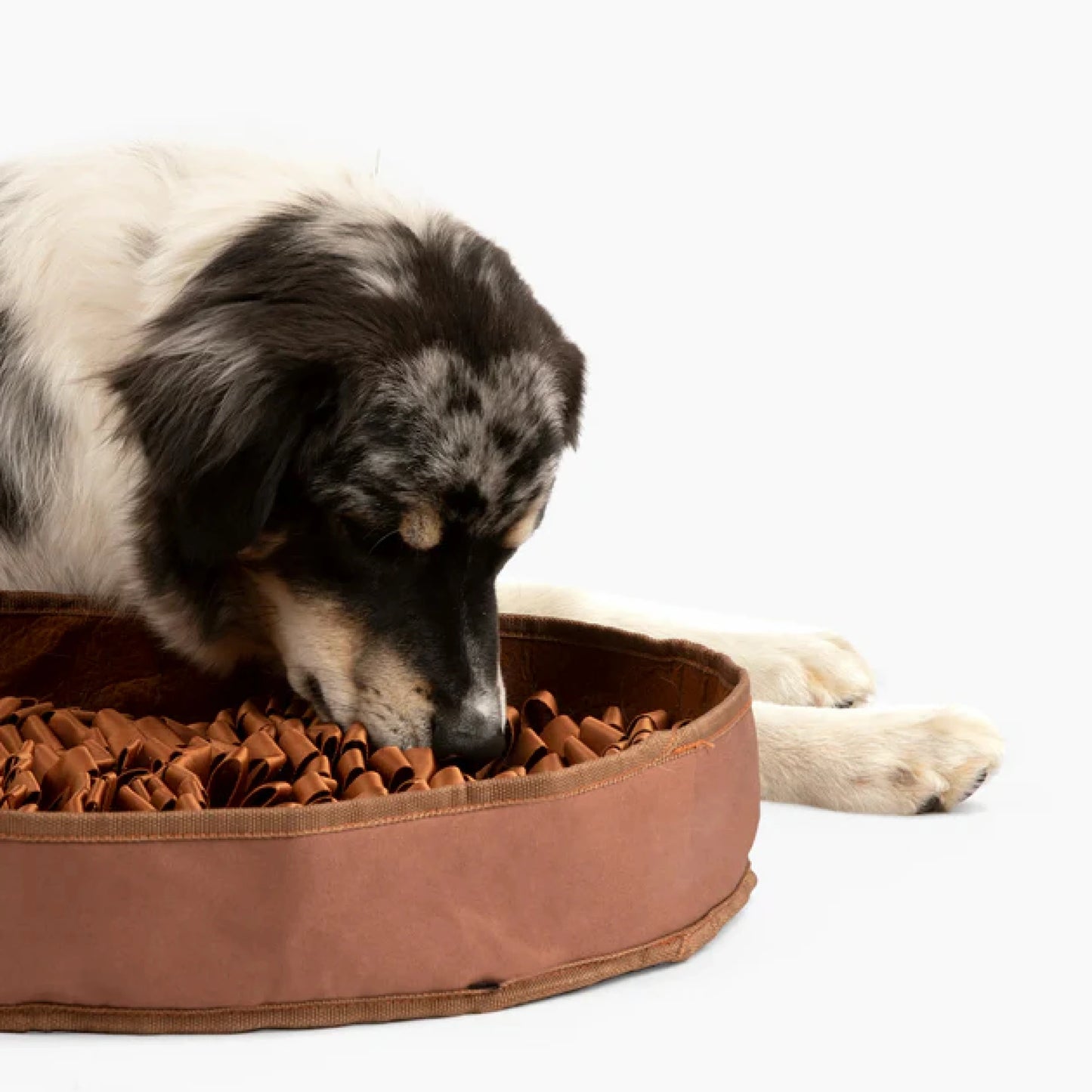 Stimulating Feeder Mat